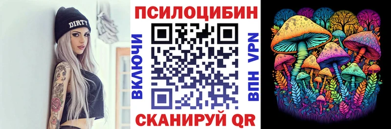 Галлюциногенные грибы Psilocybe  shop официальный сайт  Менделеевск 
