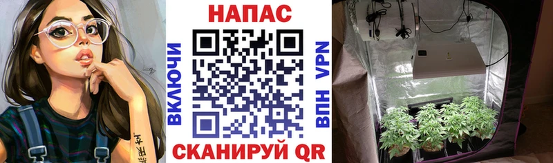 Марихуана VHQ  Менделеевск 